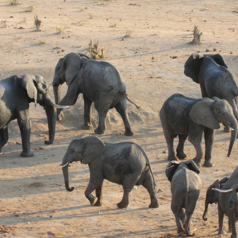 addo elephant national park image 3